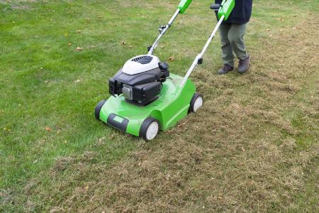 Lawn Dethatching Thumbnail