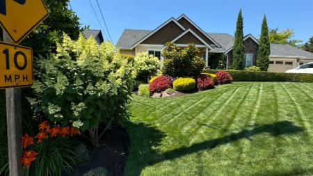 Lawn Mowing Thumbnail