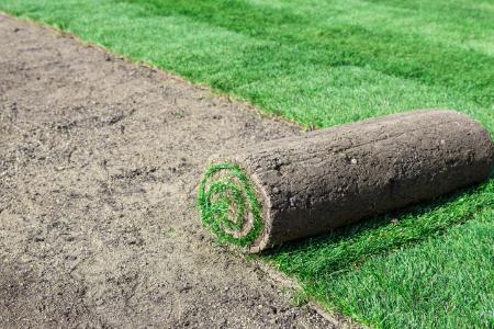 Sod Installation Thumbnail