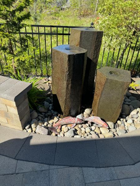 Water Features & Pond Installation Thumbnail